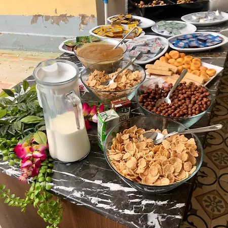 Wolf Of The City Hotel & Spa 호텔 *