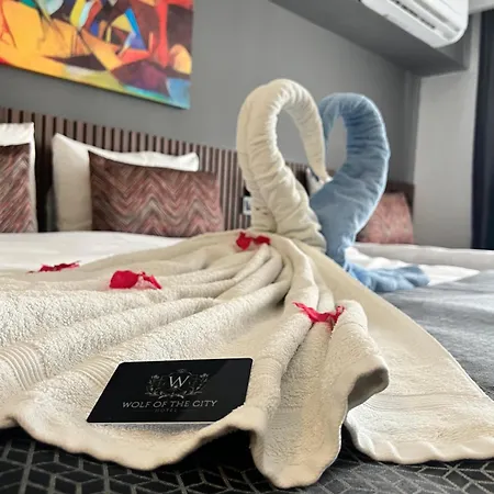 Wolf Of The & Hotel 3*